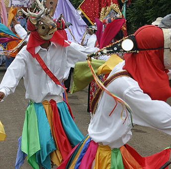 Imagen foto