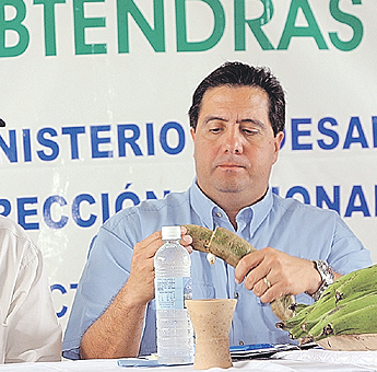 Imagen foto