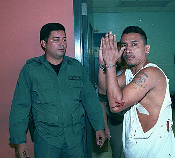 Imagen foto