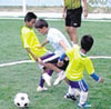 haga click para ampliar la imagen
