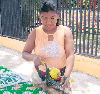 haga click para ampliar la imagen