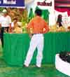 Imagen foto