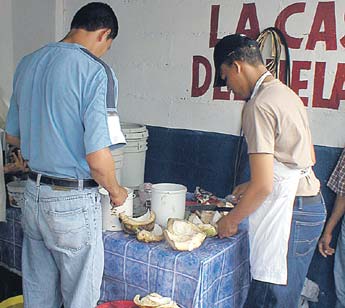Imagen foto