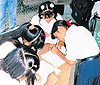 haga click para ampliar la imagen