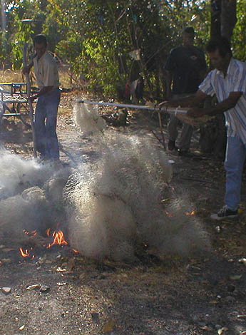 Imagen foto