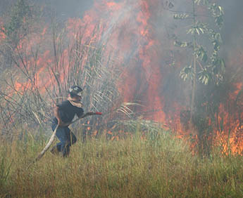 Imagen foto