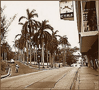 Imagen foto