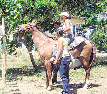 haga click para ampliar la imagen