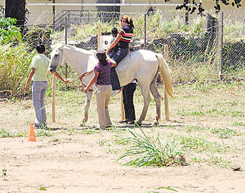 haga click para ampliar la imagen