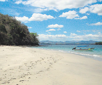 haga click para ampliar la imagen