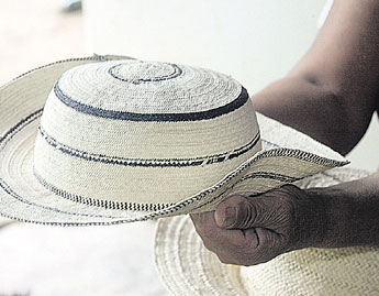 haga click para ampliar la imagen