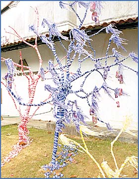 Imagen foto