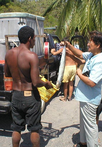 Imagen foto