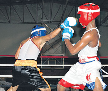 haga click para ampliar la imagen