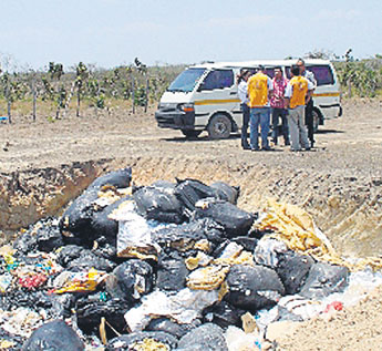 haga click para ampliar la imagen