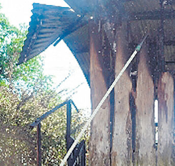 haga click para ampliar la imagen