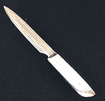 haga click para ampliar la imagen