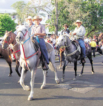 haga click para ampliar la imagen
