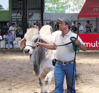 haga click para ampliar la imagen