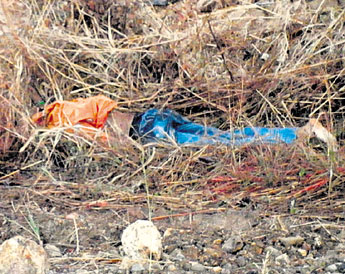 haga click para ampliar la imagen