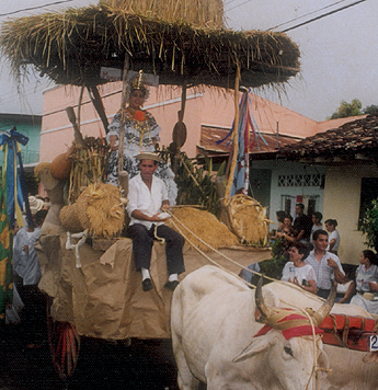 Imagen foto