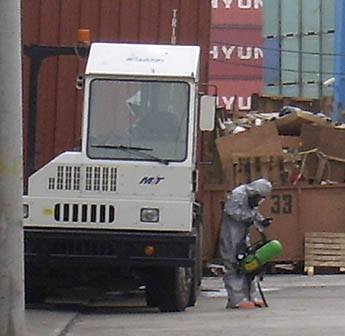 Imagen foto