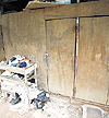 haga click para ampliar la imagen
