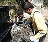 Imagen foto
