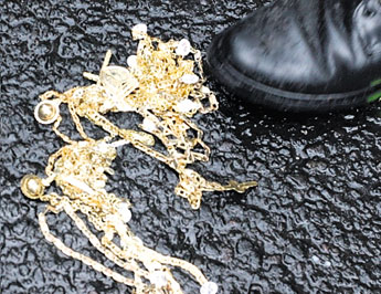 haga click para ampliar la imagen