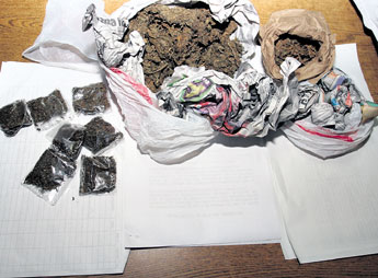 haga click para ampliar la imagen