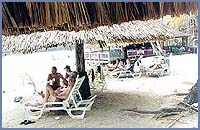 Imagen foto