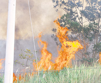 haga click para ampliar la imagen