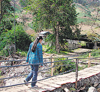 haga click para ampliar la imagen