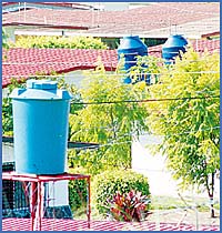 Imagen foto