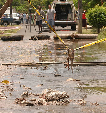 Imagen foto