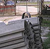 Imagen foto