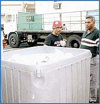 Imagen foto