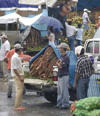 Imagen foto