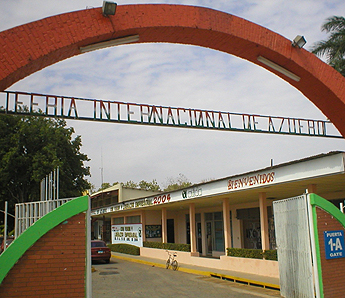 Imagen foto
