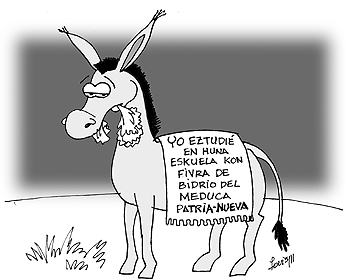 haga click para ampliar la imagen