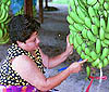 Imagen foto