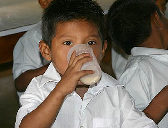 Imagen foto