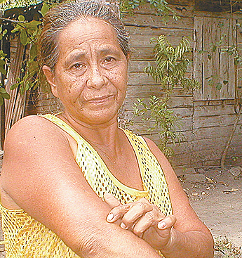 Imagen foto