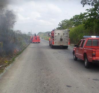 Imagen foto