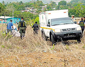 haga click para ampliar la imagen