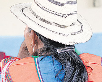 haga click para ampliar la imagen