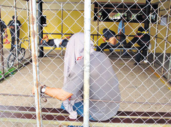 haga click para ampliar la imagen