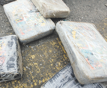 haga click para ampliar la imagen