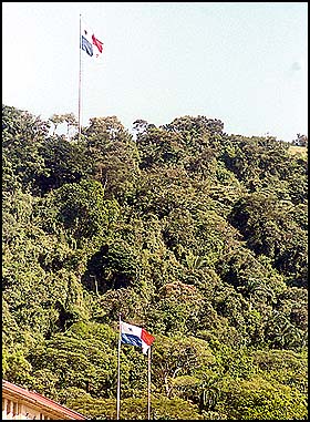 Imagen foto