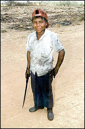 Imagen foto